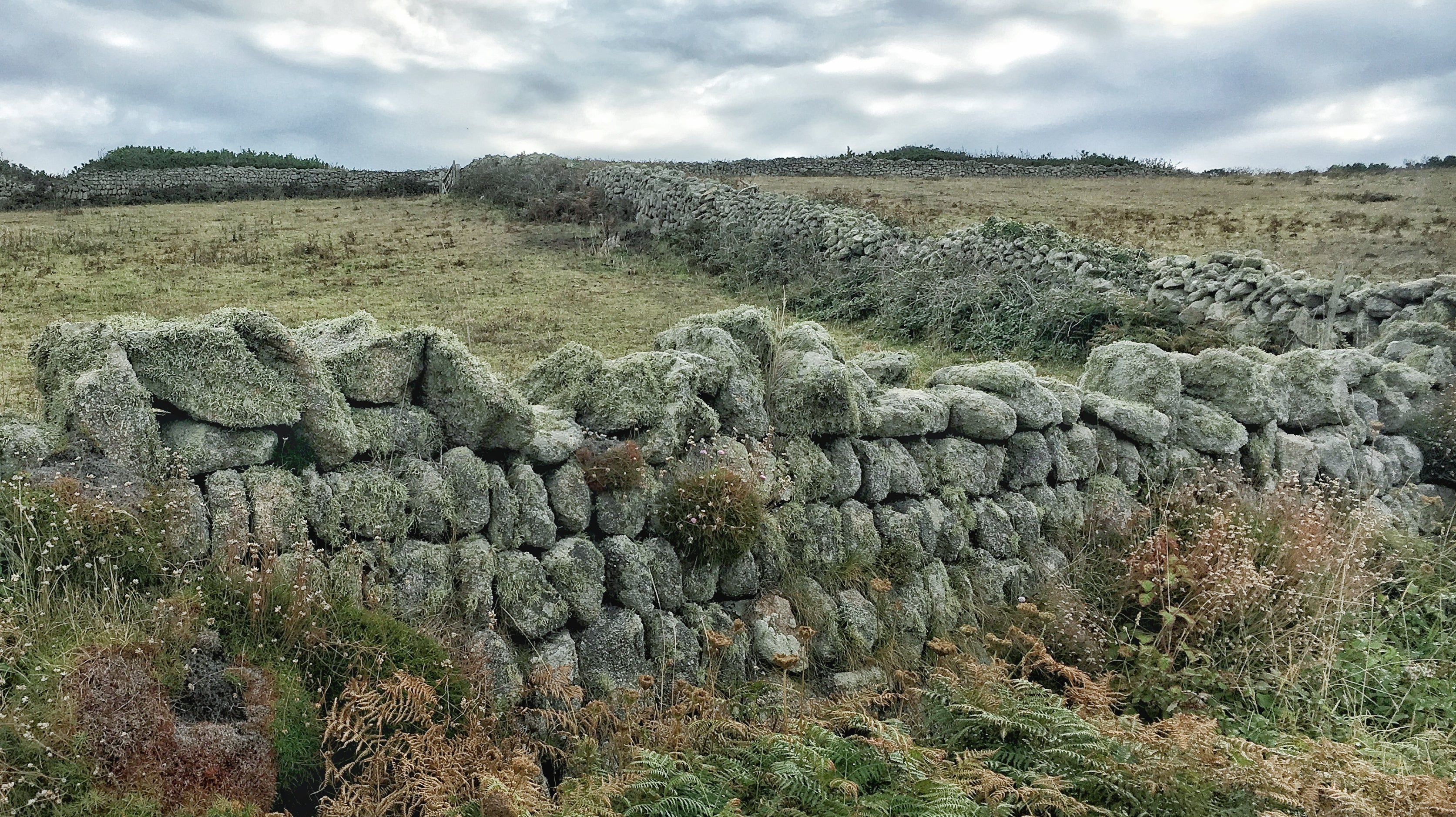 What is a Cornish Hedge?