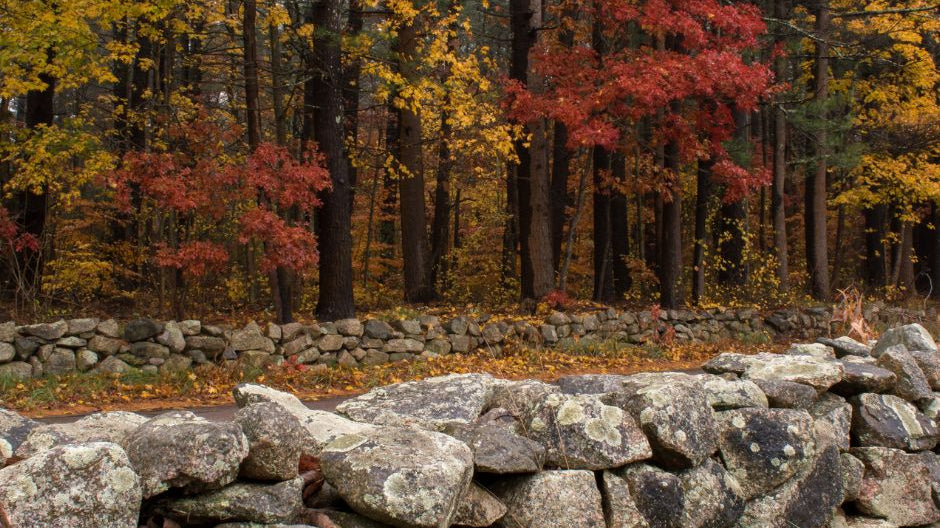 The Zigzagging Stone Walls of New England