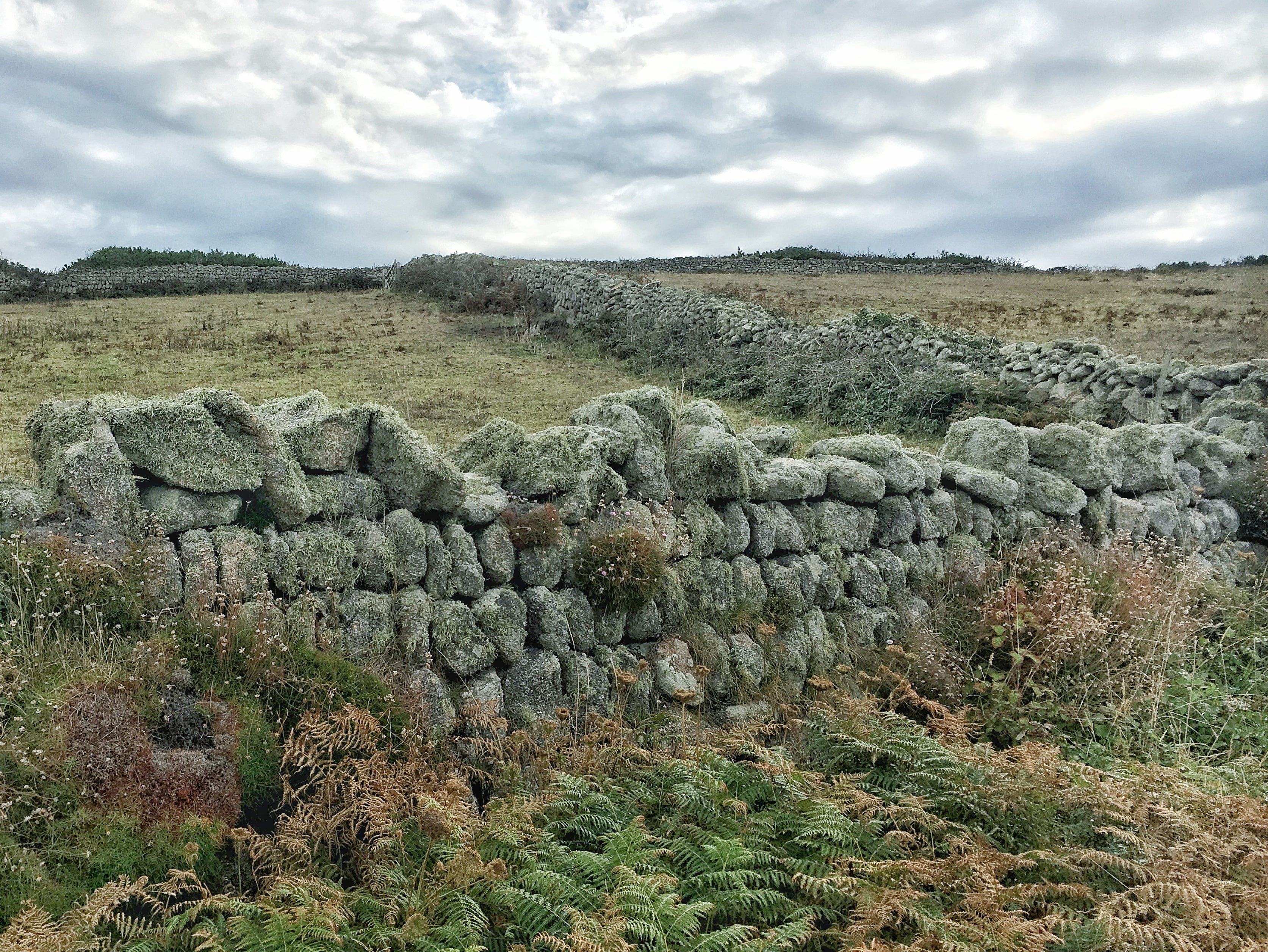 What is a Cornish Hedge?