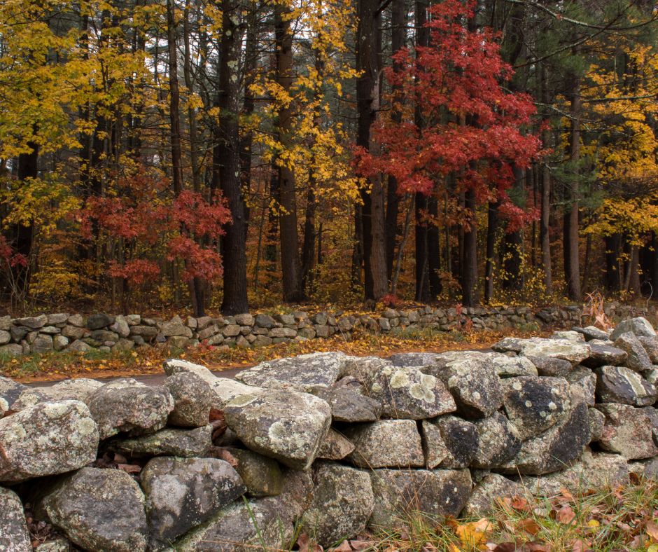 The Zigzagging Stone Walls of New England