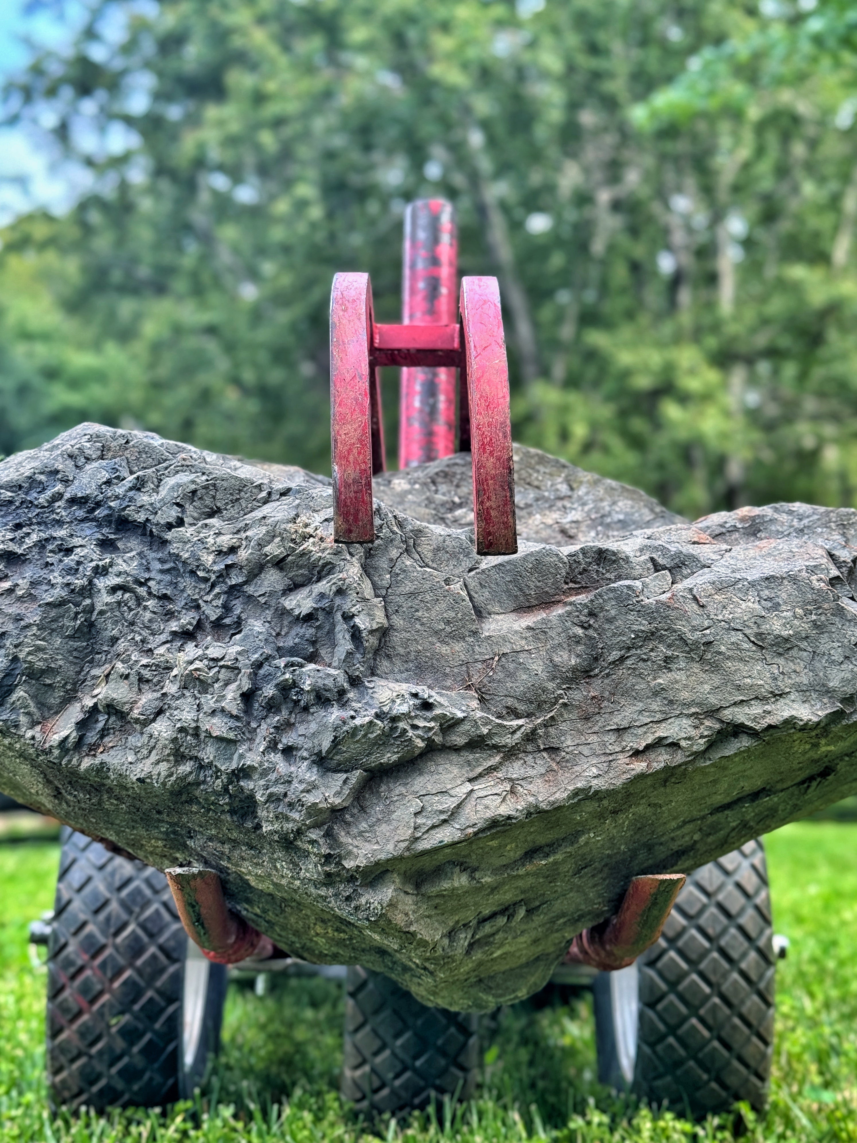 Rock Hauler with big stone in its jaws.